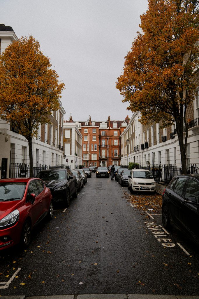 Street lined with parked cars and autumn trees.